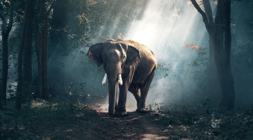 Leisure Kerala package